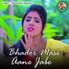 About Bhador Mase Aane Jabe Song